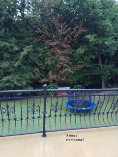 Apartament Przy Skale u Anny - 5