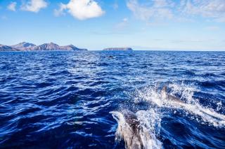 Porto Santo Blue House - Porto Santo - 0