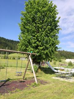 Počitniška hiša Ostrnica - 1