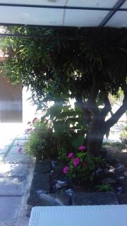 La casa di Donato - Palinuro - 8