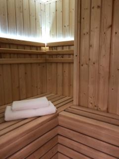 Family & Business Sauna Apartments Plac Wolności CENTRUM Downtow, UNIKAT - 5 Bedroom with Private Sauna, Bath with Hydromassage, Parking, Catering Options - Kielce - 9