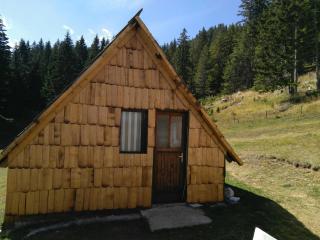 Cottage Bosaca - Žabljak - 0