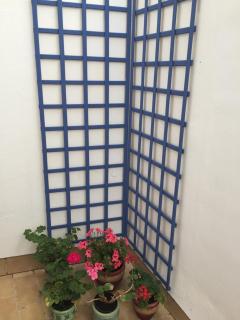 Apartamento Balneario playa Caleta - Cadice - 1