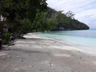 Turtle Dive Homestay - 2
