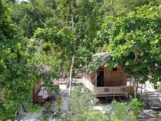 Turtle Dive Homestay - Kri - 1