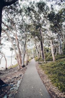 The Hastings Beach Houses - Noosa Heads - 9