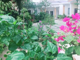 Tam Coc Minh Gia Homestay - Ninh Binh - 2