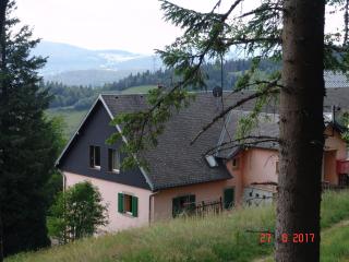Les ô welches côté lac - Orbey - 4