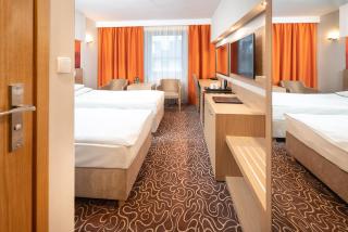 Hotel Amazonka Conference and Spa - Ciechocinek - 5