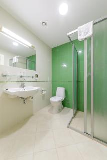 Medical SPA "Eglės sanatorija" Comfort Druskininkai - Druskininkai - 1