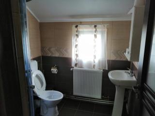 Casa DDM Daniel - Buşteni - 3