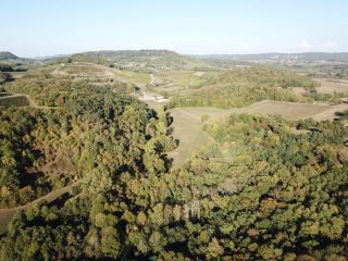 La Ferme De Montard - Montmorot - 3