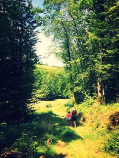 La Ferme De Montard - 1