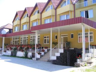 Pensiunea Grandlion - Gorneşti - 6