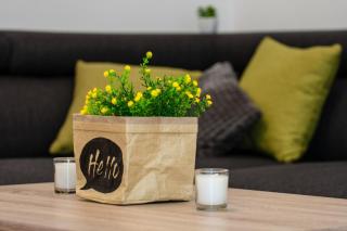 New renovated apartment 15 min from beach on foot - Pula - 6