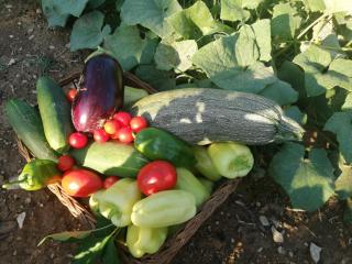 Lola - privacy, pool & view - 4