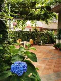 Guest house Vylchev - 5