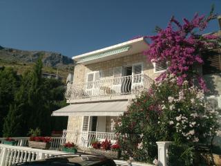 APARTMANI KUJUNDŽIĆ - Duće - 0