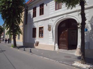 Gothic Central Sibiu - Sibiu - 6