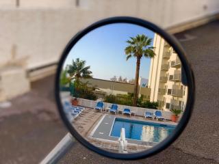 Black & White by Madeira Sun Travel - Funchal - 7