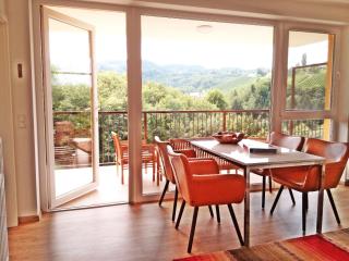 Suiten am Simmhof - Leutschach - 0