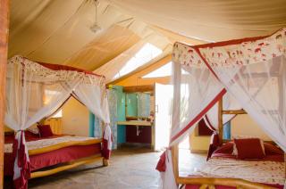 Maneaters - Tsavo - 5
