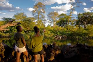 Maneaters - Tsavo - 3