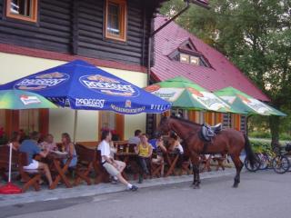 Penzion Pstruh - Stožec - 6