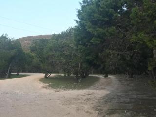 A Peace of Heaven Cabins and RV - Vanderpool - 3
