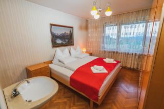 Apartmaji Retro - Spodnje Gorje - 5