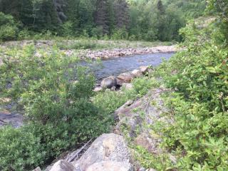Chalet Saint-Thomas - LʼAnse-Saint-Jean - 8