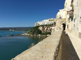 Dimora Nel Borgo - Vieste - 5