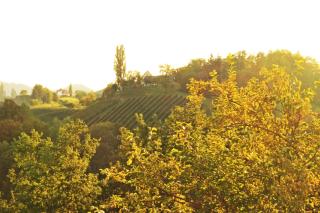 Suiten am Simmhof - Leutschach - 5