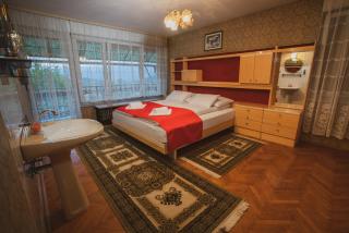 Apartmaji Retro - Spodnje Gorje - 9