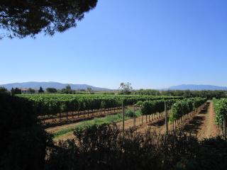 Agriturismo Poggio Campana - San Donato - 3