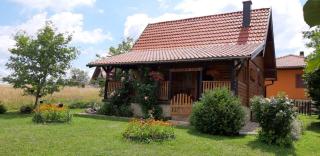 Holiday Home Brvnara - Bajina Bašta - 1