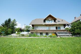 Mateja House - Apartments in Žirovnica - 1