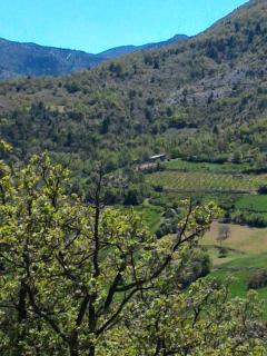 Ferme La Viste - La Roche-sur-le-Buis - 0