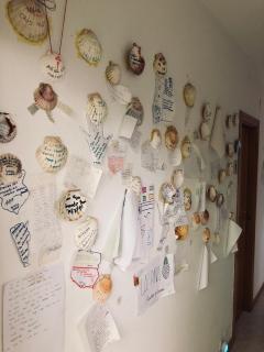 Albergue la Estacion Santiago de Compostela - 5