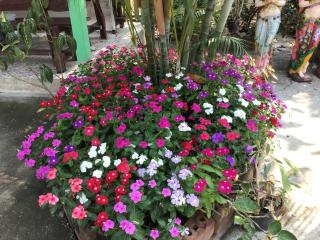 Daddy's homestay - Ban Bang Krasan - 4