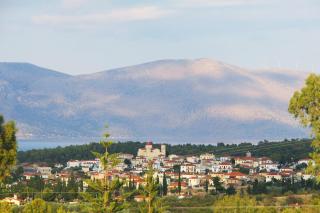 Villa in the Olive Trees - 4