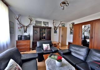 Apartamenty w Puszczy Boreckiej - 0