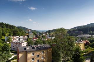 Apartament Ale Widok Tysiąclecia - Krynica-Zdrój - 7