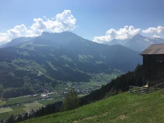 Goass'n Alm Zillertal - Hippach - 6