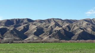 Western House B&B Kurow - Kurow - 8