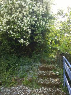 Moulin De Cornevis Bed and Breakfast - Privas - 3
