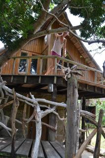 Driftwood Treehouse - 9
