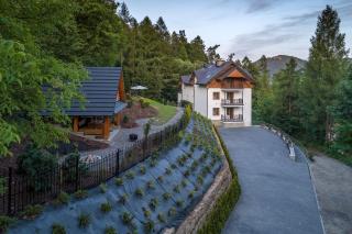 Willa nad Parkiem - Szczawnica - 8