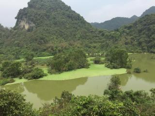 Aloha Tam Cốc Homestay - 5