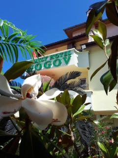 Family Hotel Gogov - 7